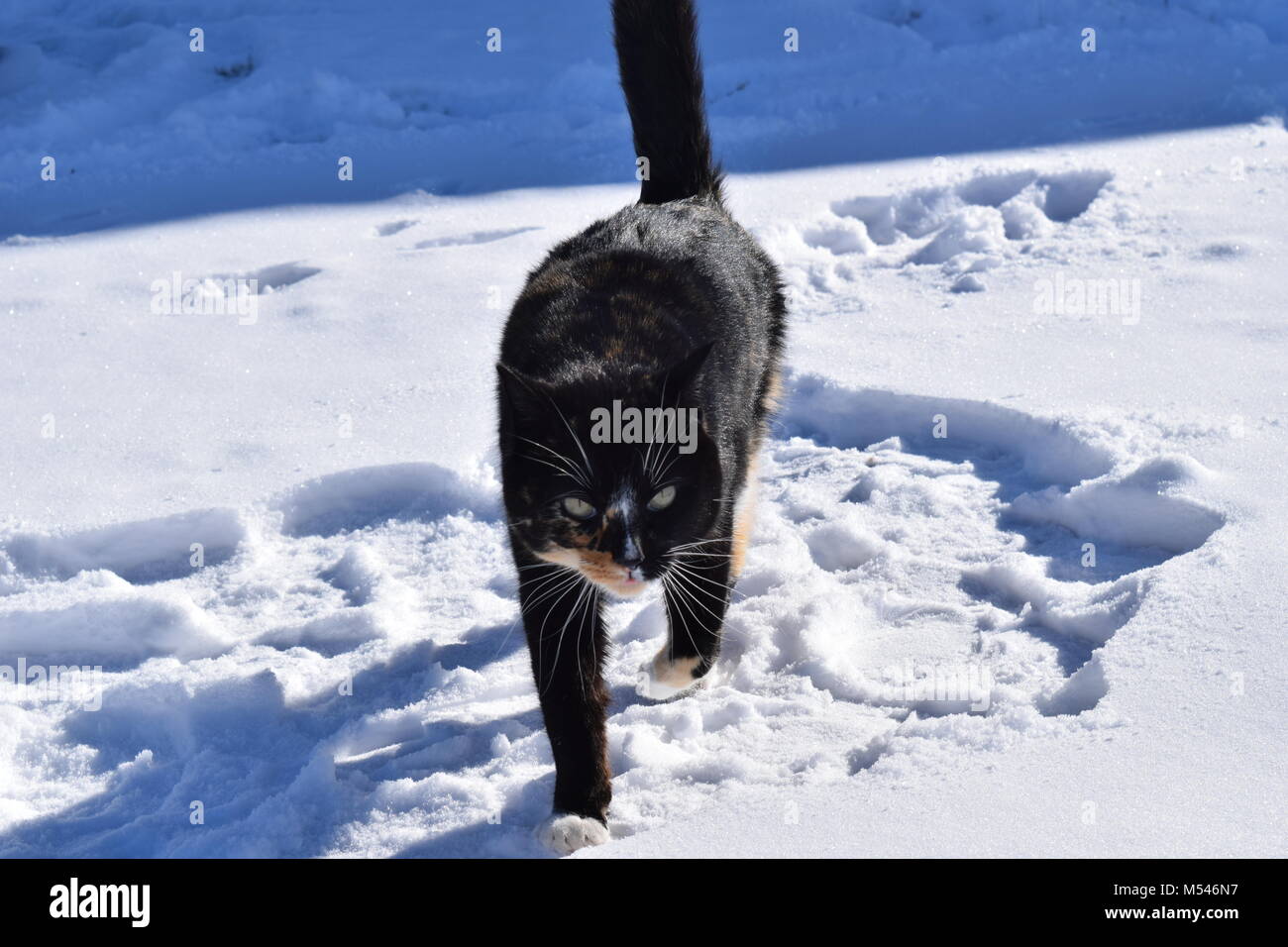 Yoder hi-res stock photography and images - Alamy