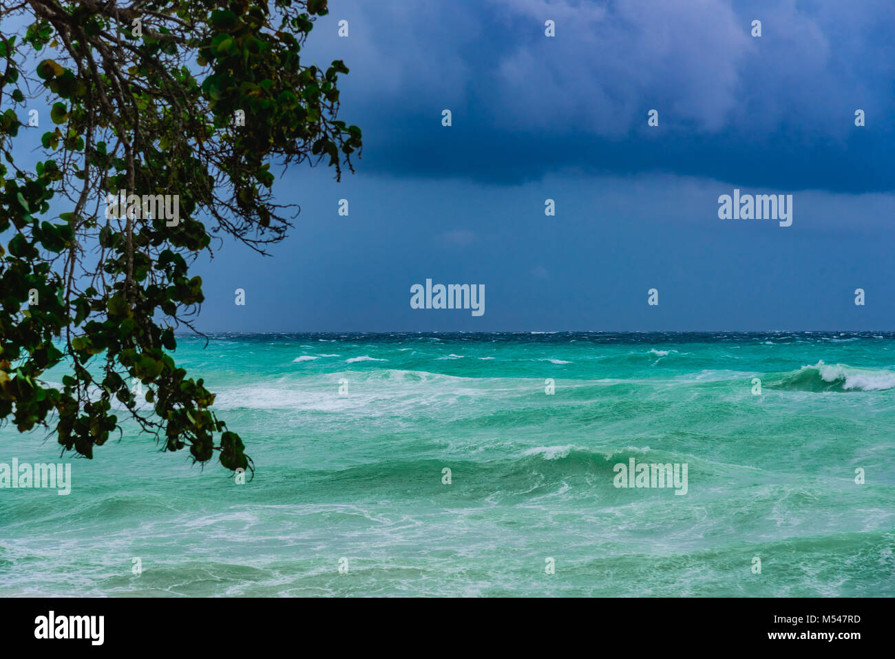 Sea thunderstorm cloud hurricane irma Stock Photo