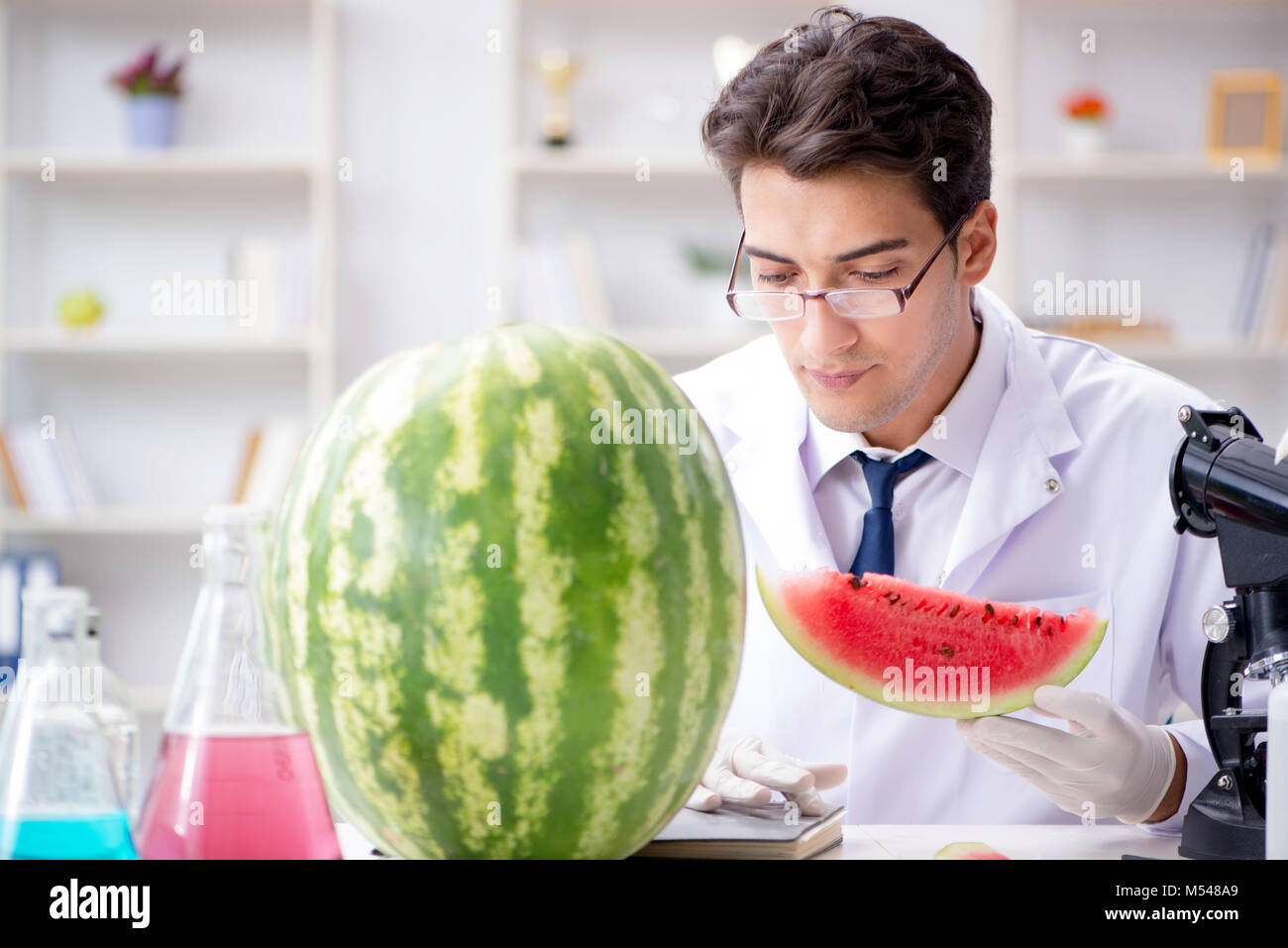 Watermelon Lab Dietici hi-res stock photography and images - Alamy