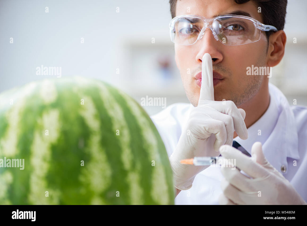 Scientist testing watermelon in lab Stock Photo - Alamy