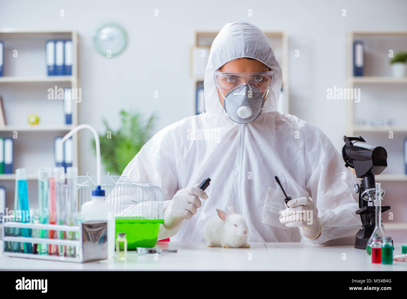 Scientist doing animal experiment in lab with rabbit Stock Photo Alamy