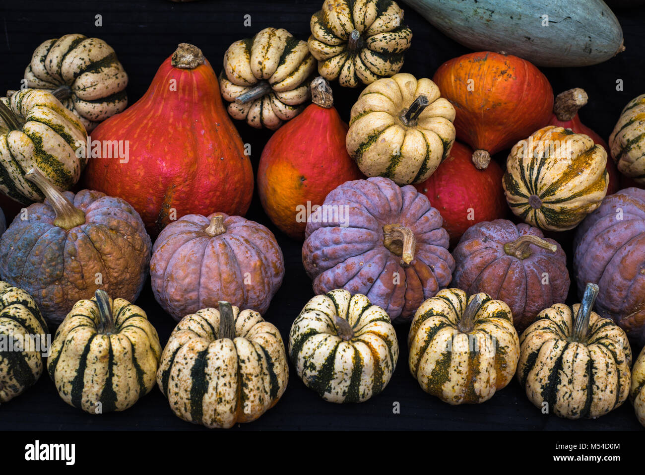 Collection of pumpkins at a farmers market Stock Photo - Alamy