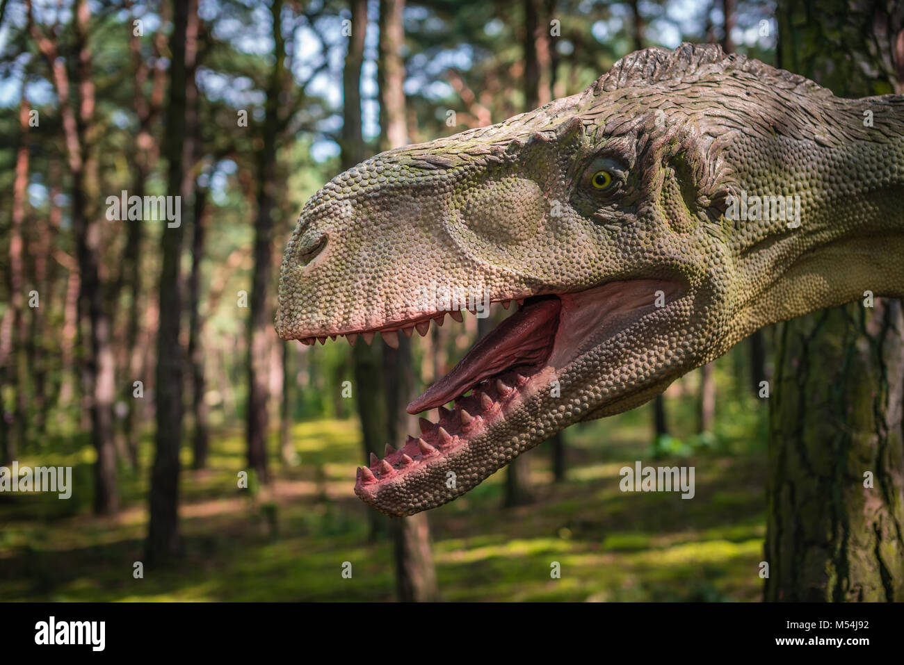 Life sized head of a tyrannosaurus rex dinosaur statue Stock Photo