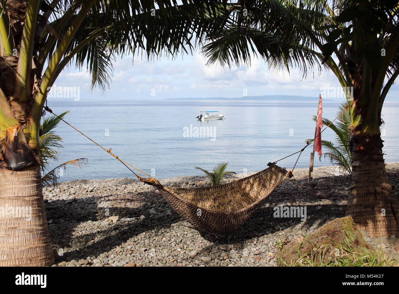 hammock between two coconut palms Stock Photo