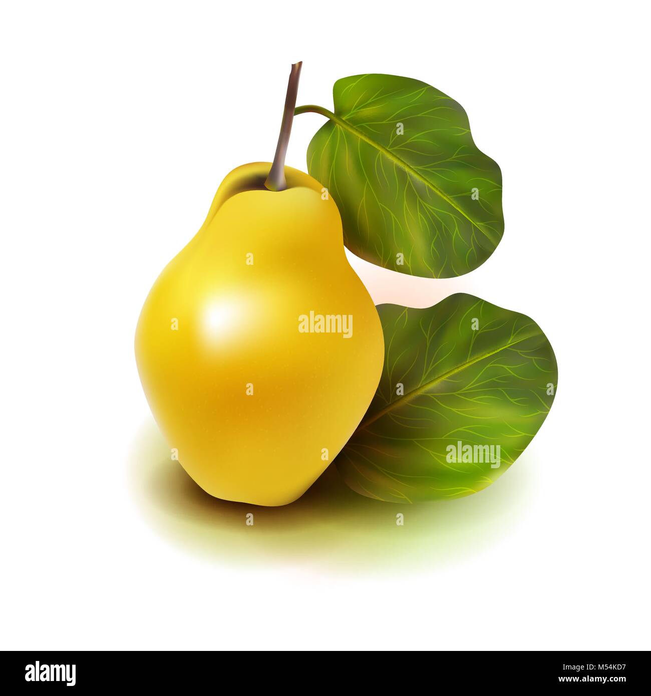 Photo realistic quince apple pear 3d vector fruit with leaves isolated