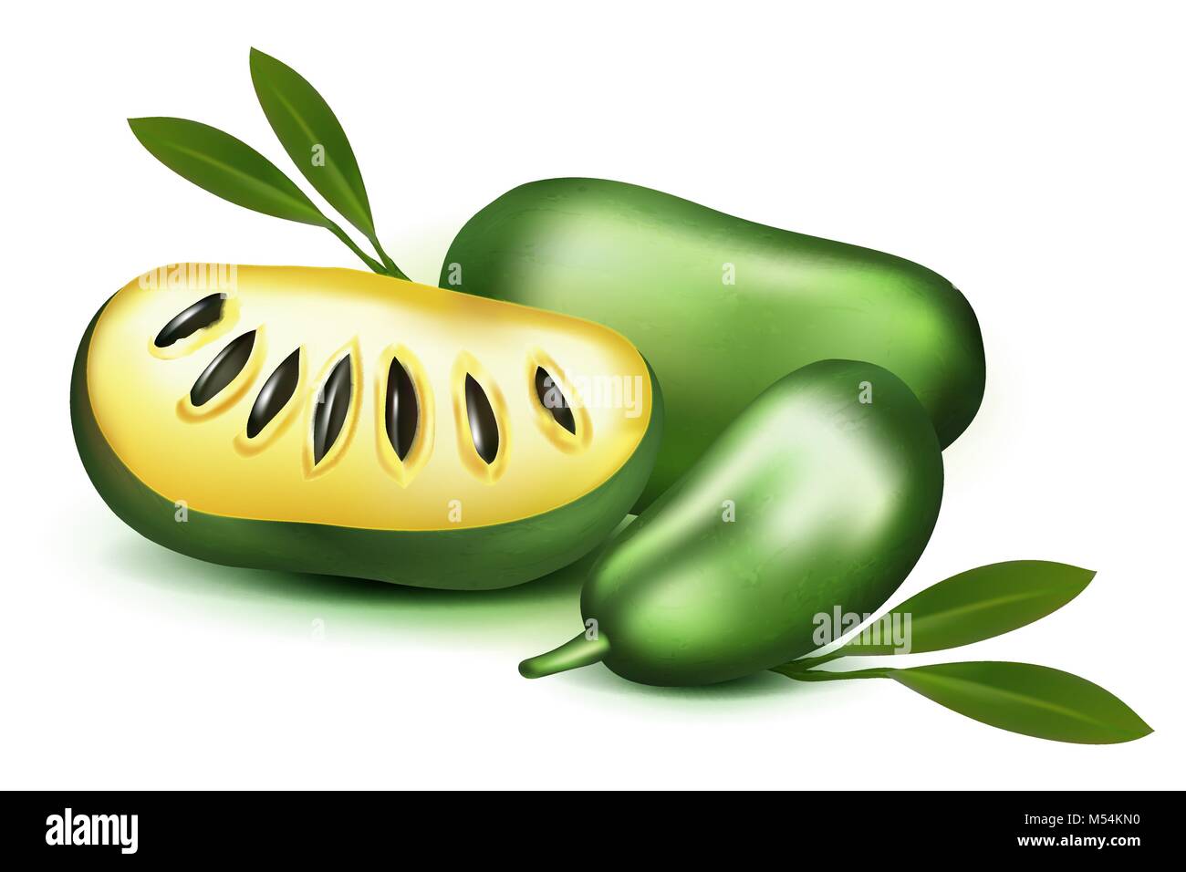 Photo Realistic 3d vector pulp and seeds with leaves isolated on white