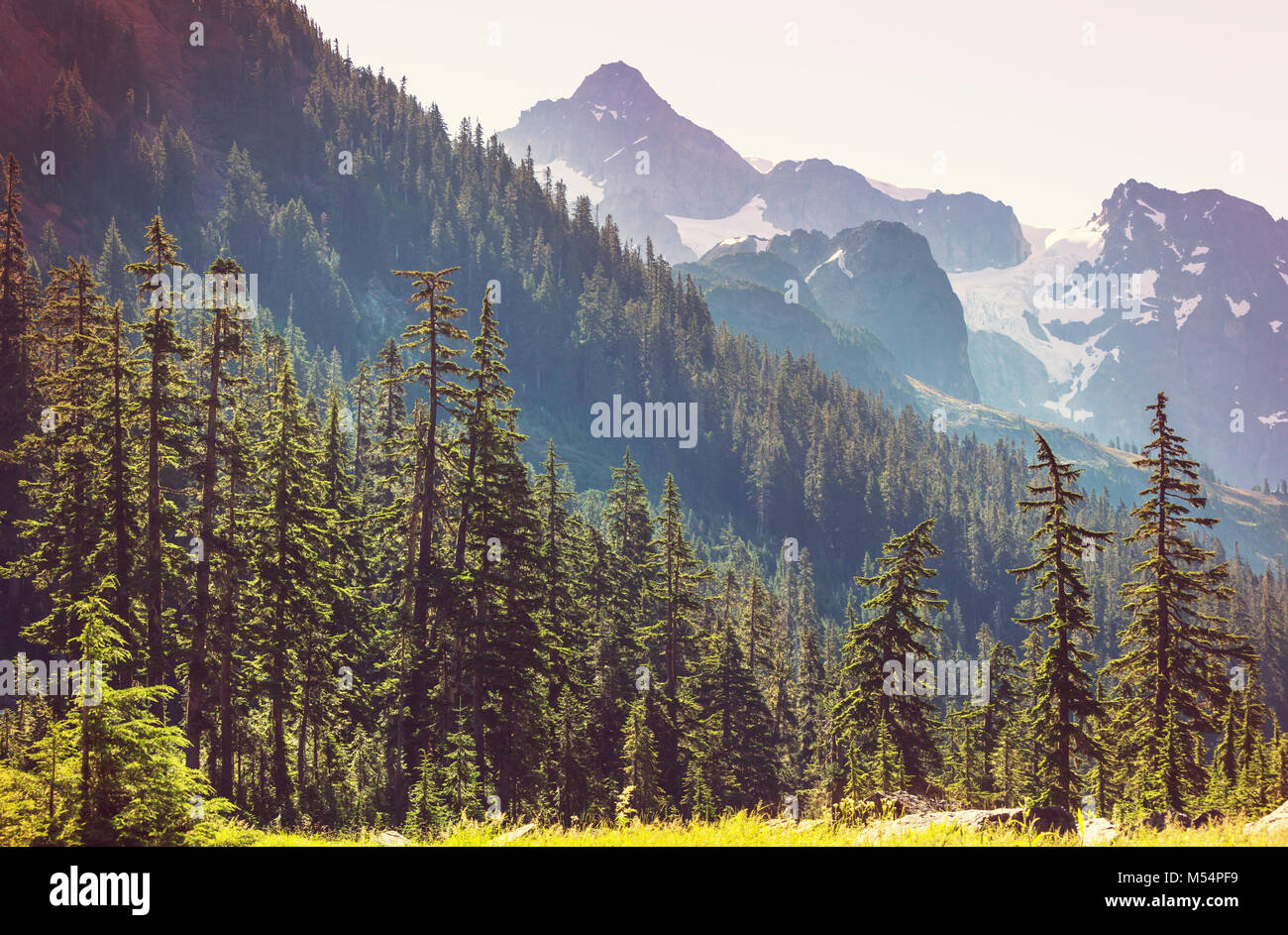Mt Baker Area Stock Photo Alamy