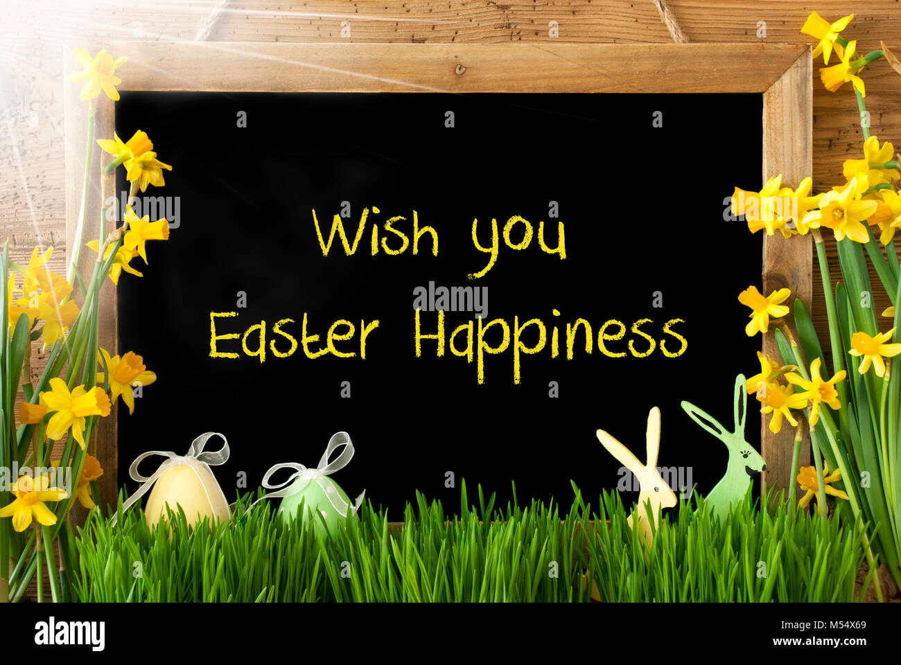 Sunny Narcissus, Egg, Bunny, Text Wish You Easter Happiness Stock Photo