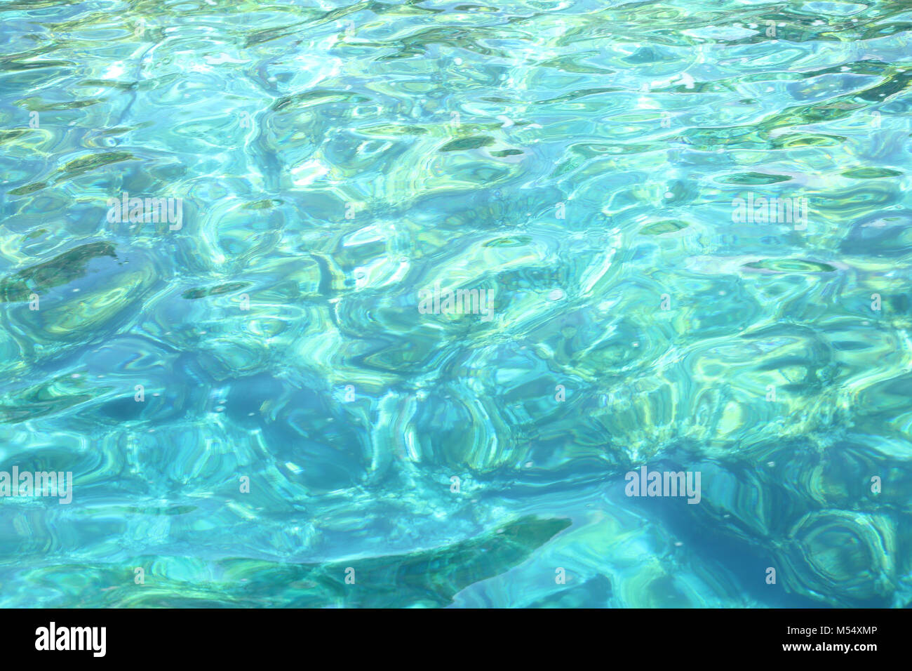 Close up of tropical water in the ocean or swimming pool, beautiful blue turquoise color with copy space, Caribbean. Stock Photo