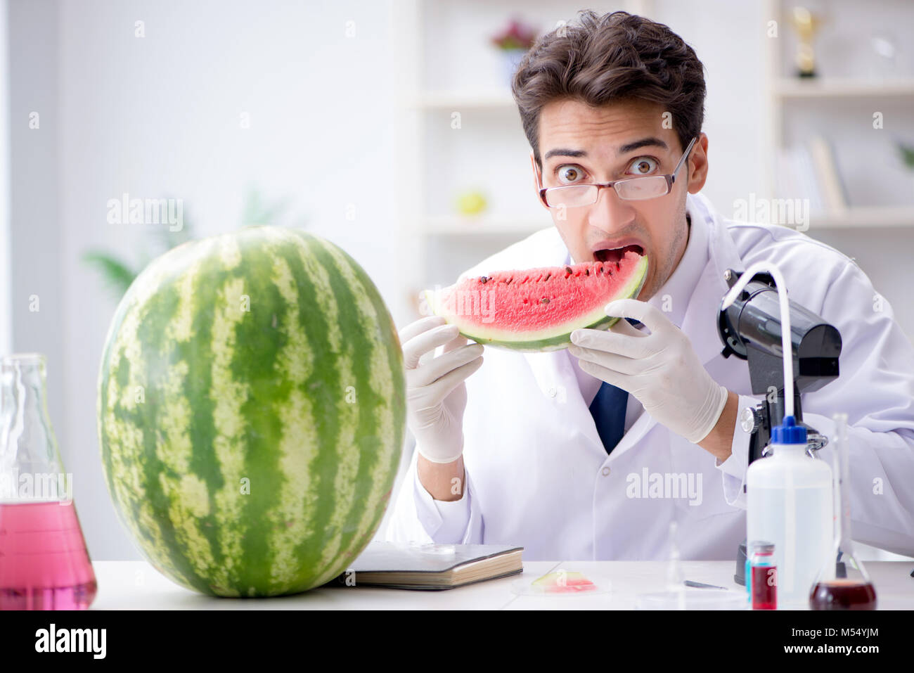 The scientist testing watermelon in lab Stock Photo - Alamy