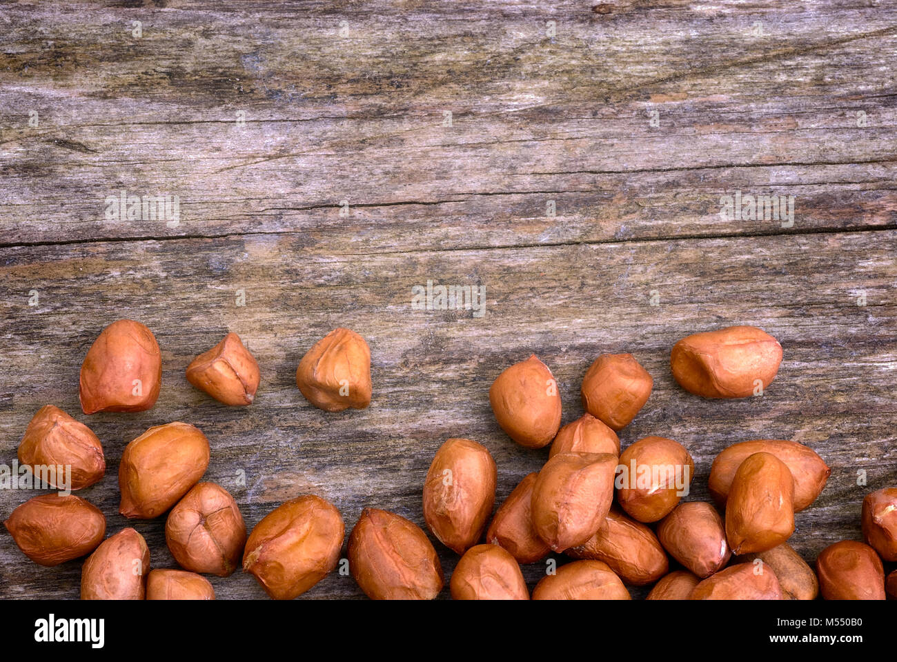 Peanuts In Shells For Humans informacionpublica.svet.gob.gt
