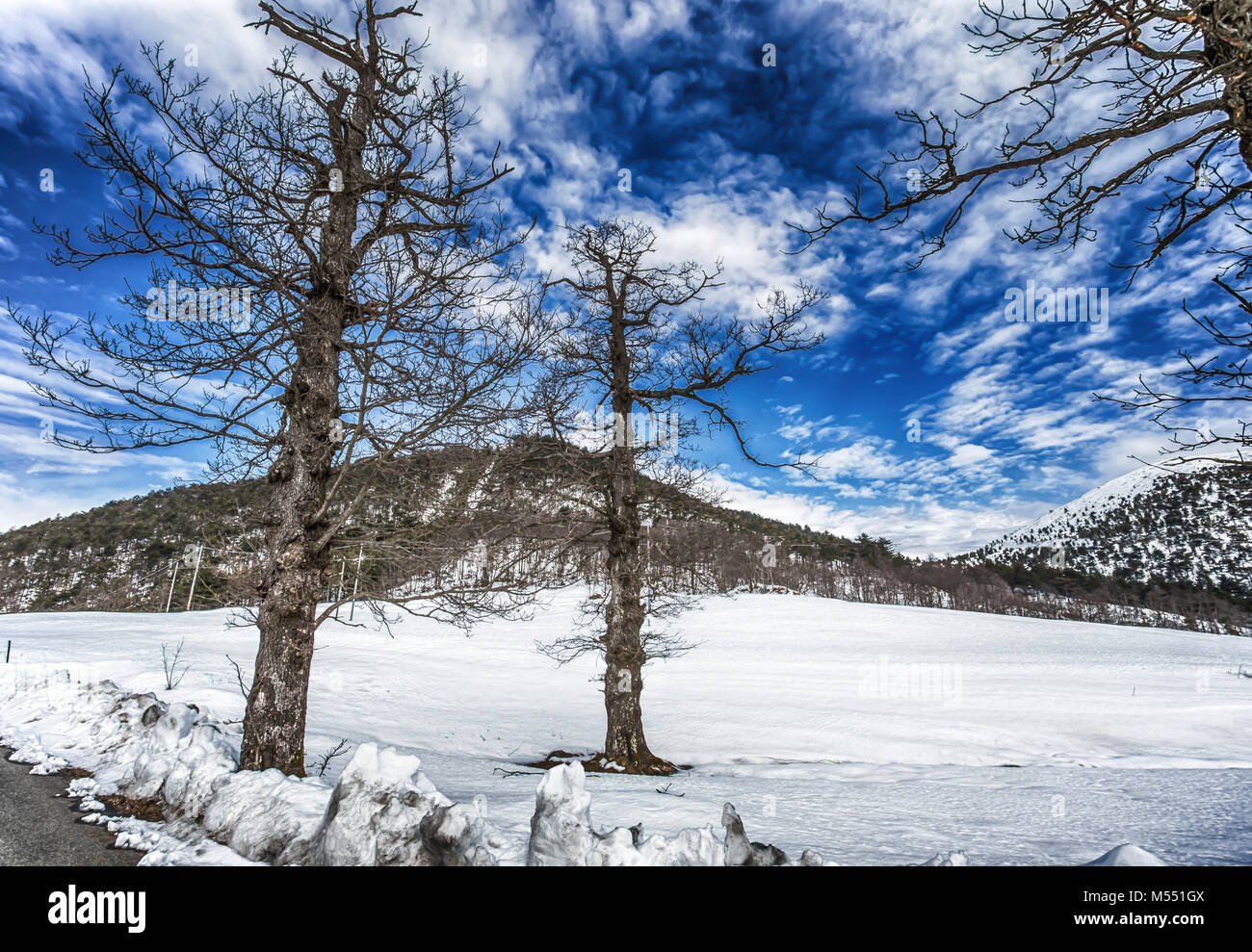 Trees and montains with snow under a blue cloudy sky Stock Photo - Alamy