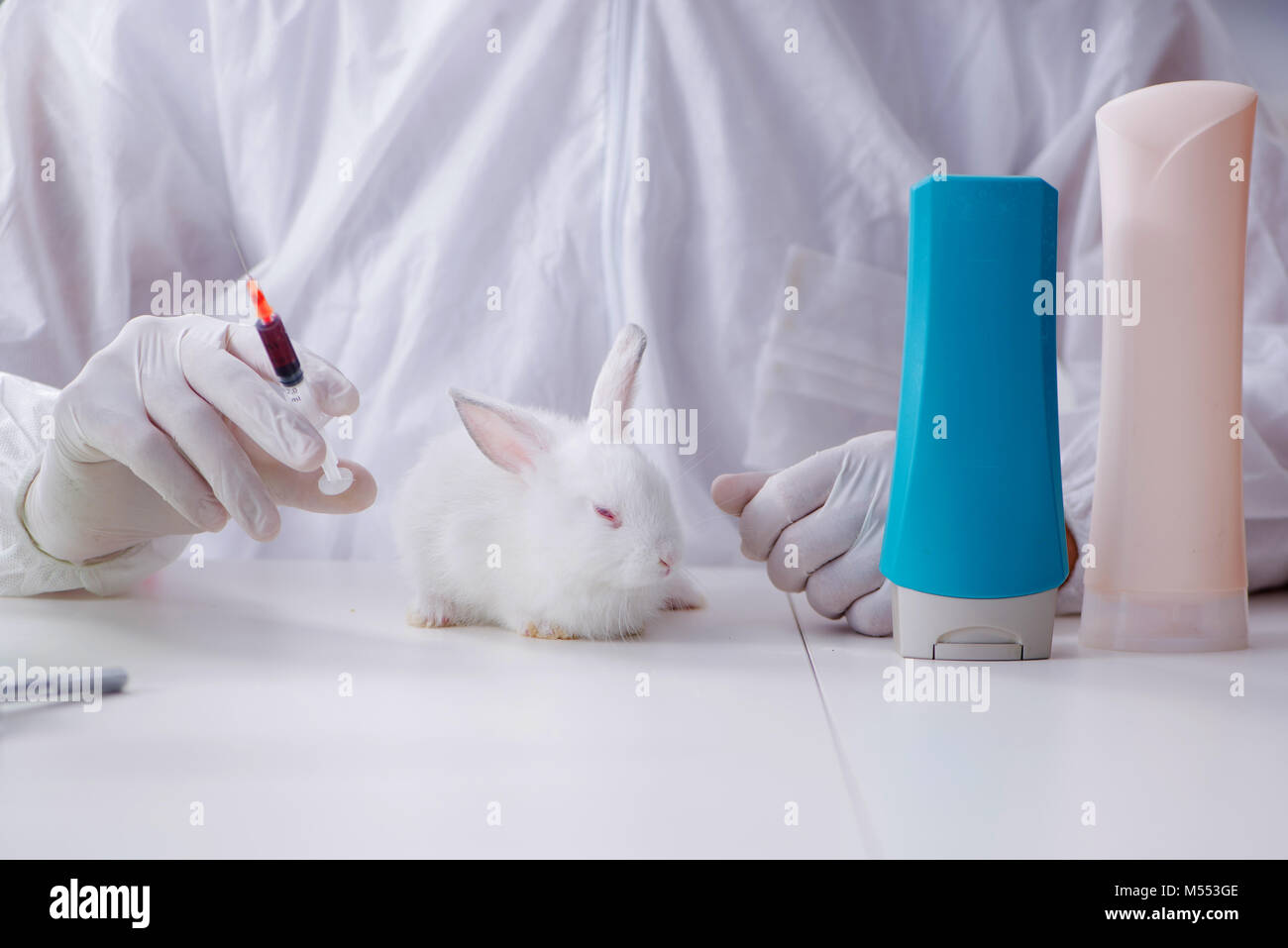 White rabbit in scientific lab experiment Stock Photo - Alamy