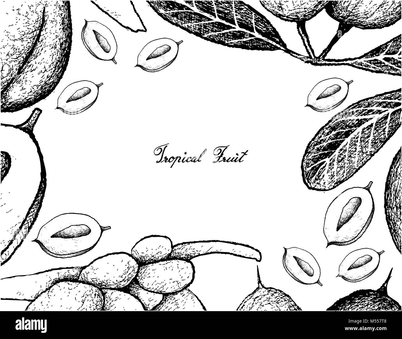 Tropical Fruits, Illustration Frame of Hand Drawn Sketch Fresh Karanda ...
