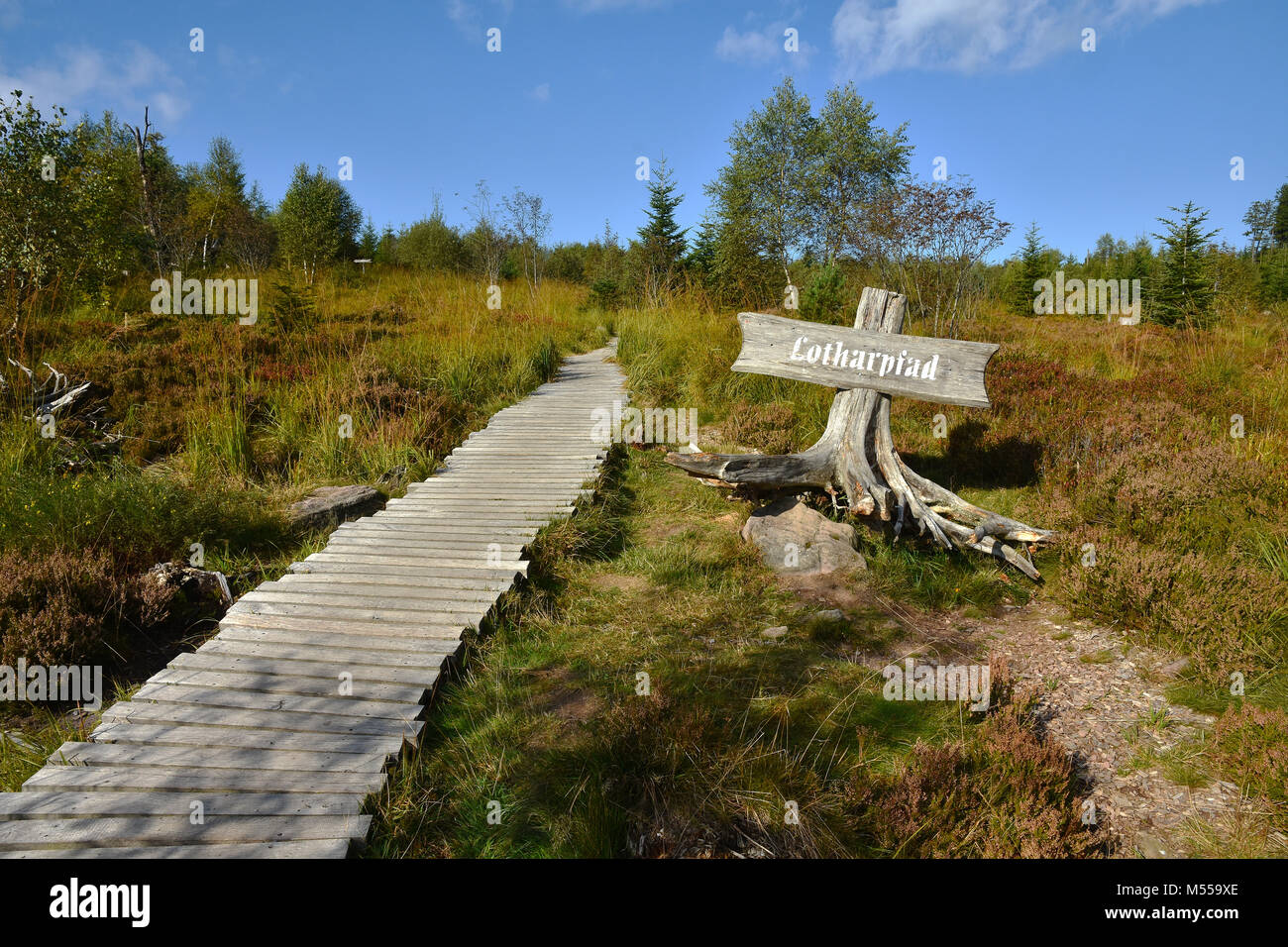 nature trail; Black Forest; Germany Stock Photo Alamy