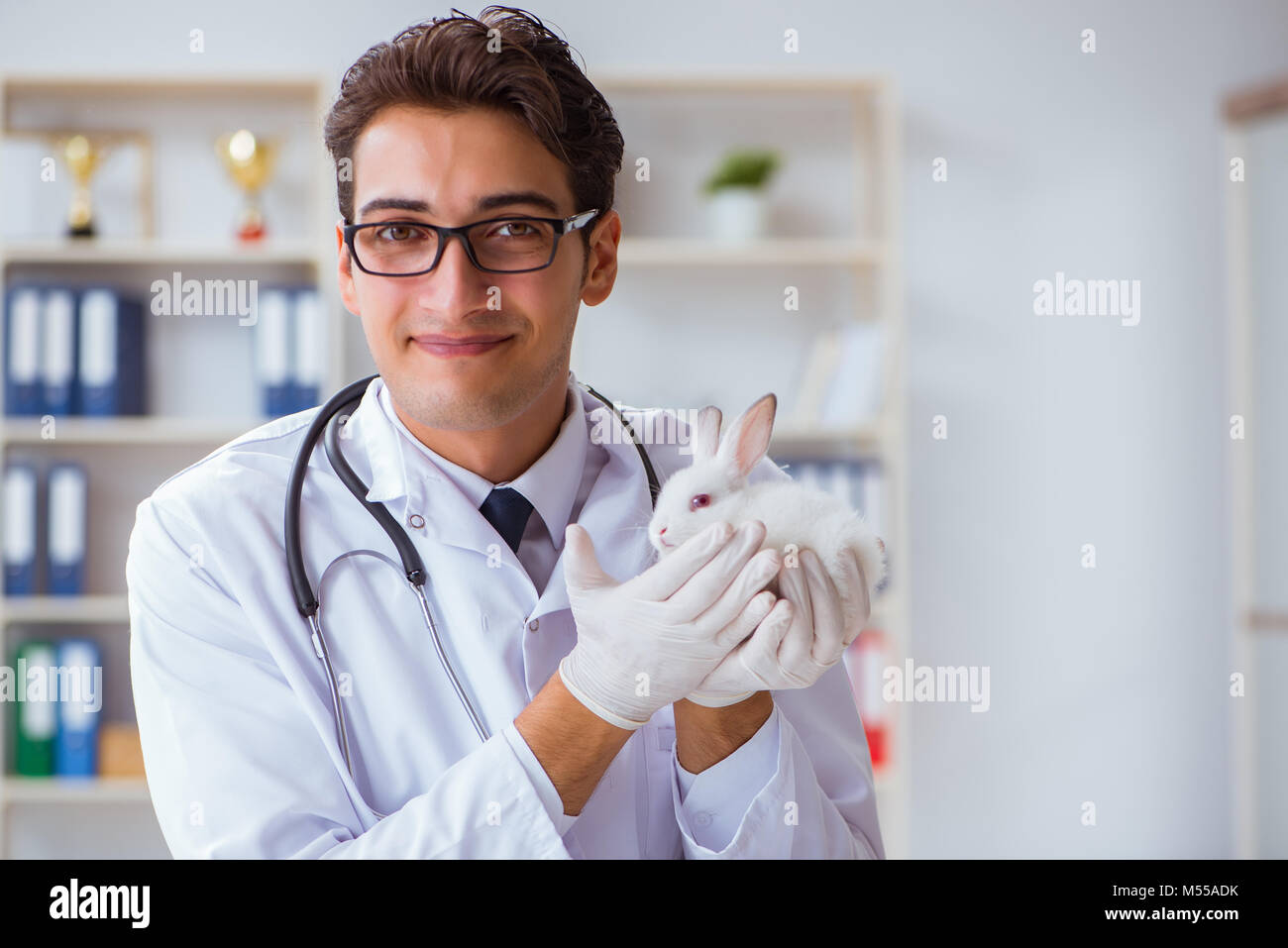 Vet doctor examining rabbit in pet hospital Stock Photo Alamy