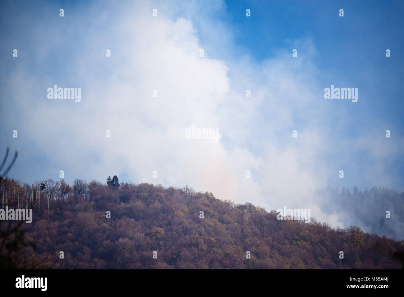 forest with a lot of smoke caused by forest fire Stock Photo - Alamy