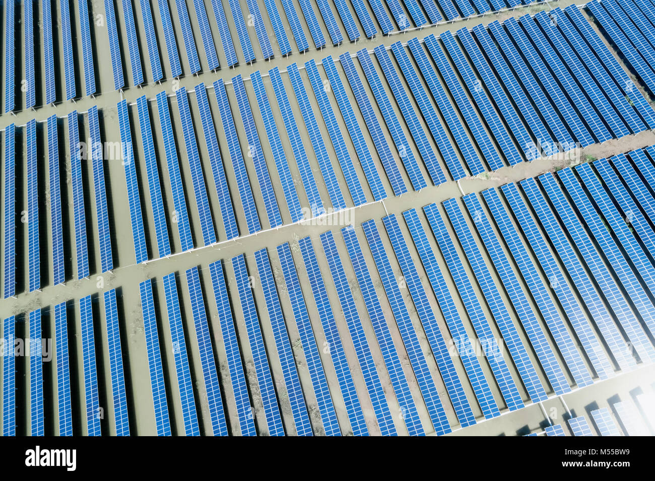 Solar power plant bird hi-res stock photography and images - Alamy