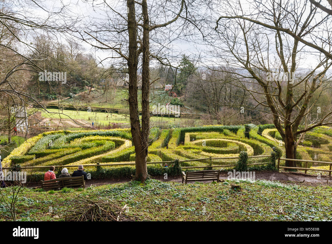 Formal gardens: The privet hedge 250 Anniversary Maze at Painswick Rococo Garden, Painswick, Gloucestershire Cotswolds in winter with snowdrops Stock Photo