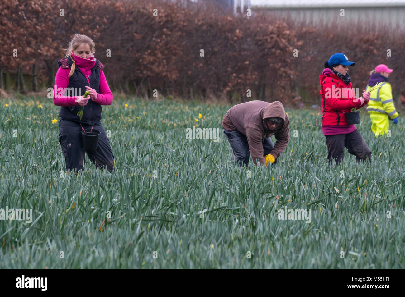 Season 2018 jersey hires stock photography and images Alamy