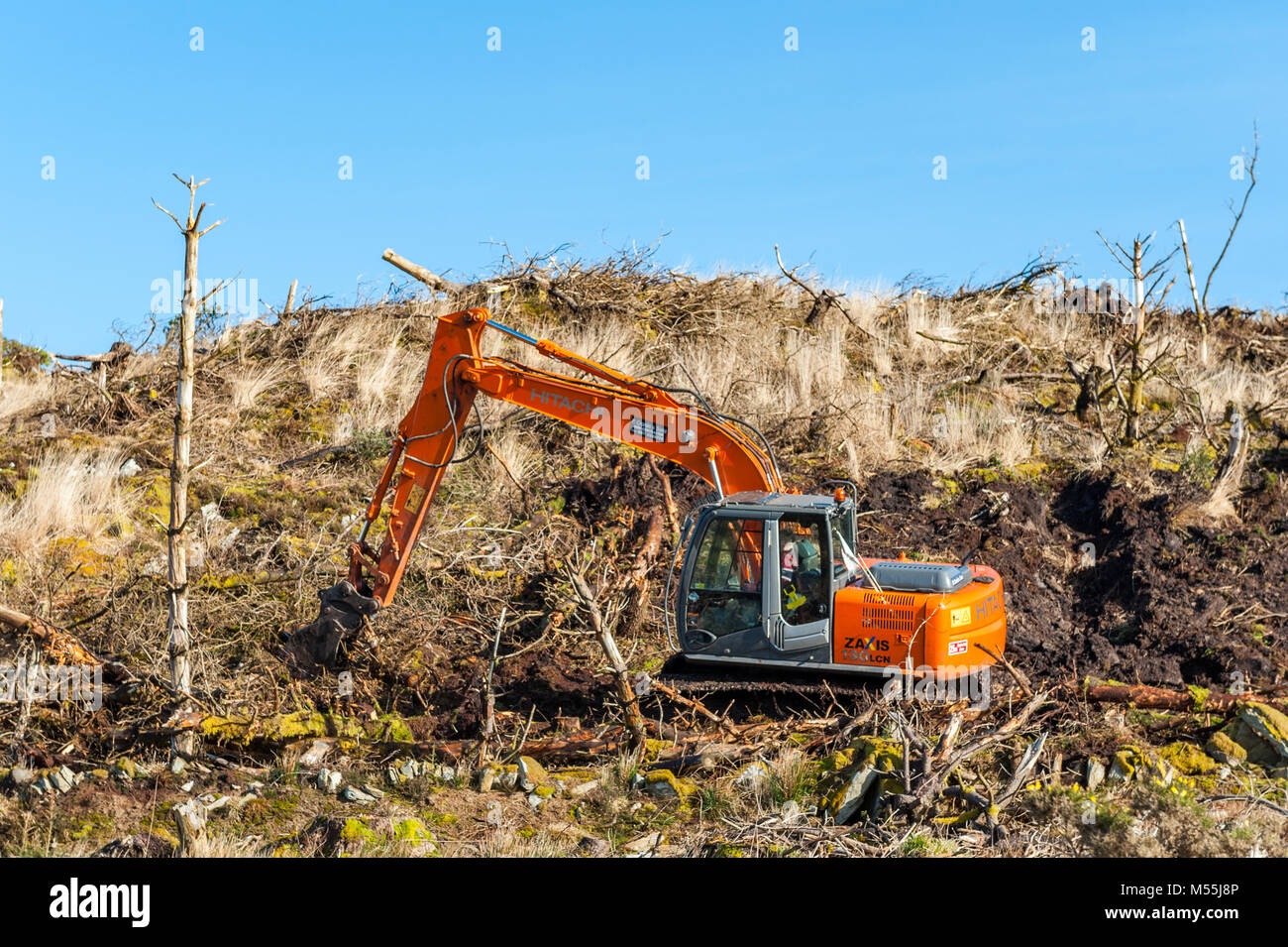 Ballydehob, Ireland. 20th Feb, 2018. Coillte owned Scrahanaleara Forest was harvested in 2015. In preparation for the forest to be replanted next week, an Hitachi 130 tracked excavator clears the remnants of the old forest. Credit: Andy Gibson/Alamy Live News. Stock Photo