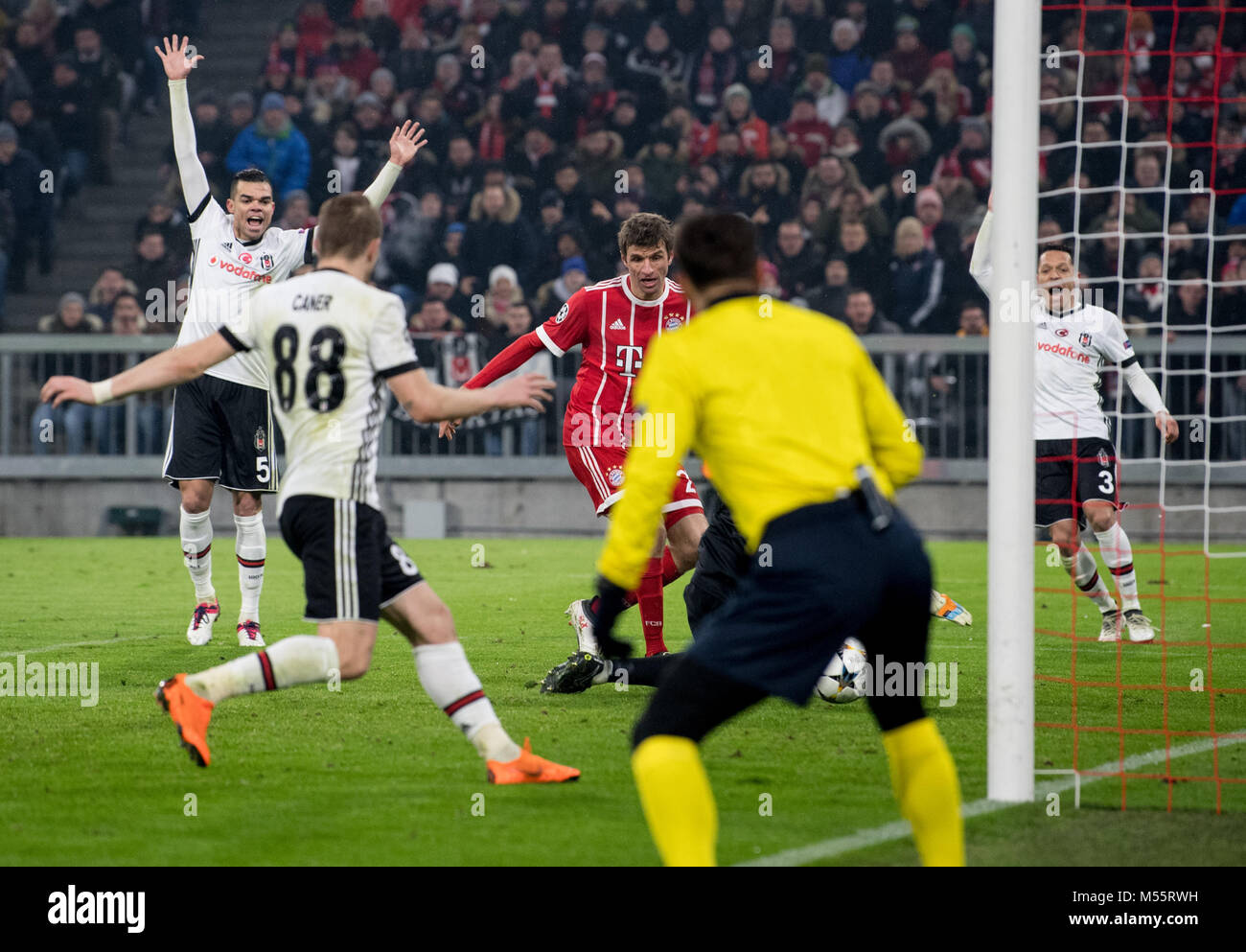 Cat voted 'Man of the Match' as Bayern Munich defeats Beşiktaş in UEFA Champions League