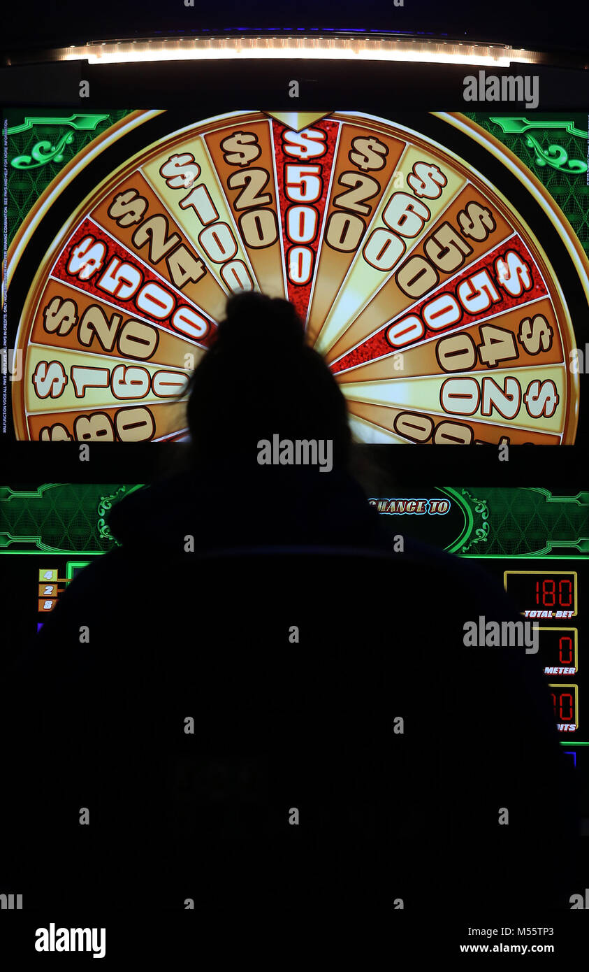 Davenport, Iowa, USA. 12th Feb, 2018. A patron sits at a machine and plays, Monday, February 12, 2018, inside Suzi'e Video Poker and Slots located at 4100 Avenue of the Cities in Moline. Credit: John Schultz/Quad-City Times/ZUMA Wire/Alamy Live News Stock Photo