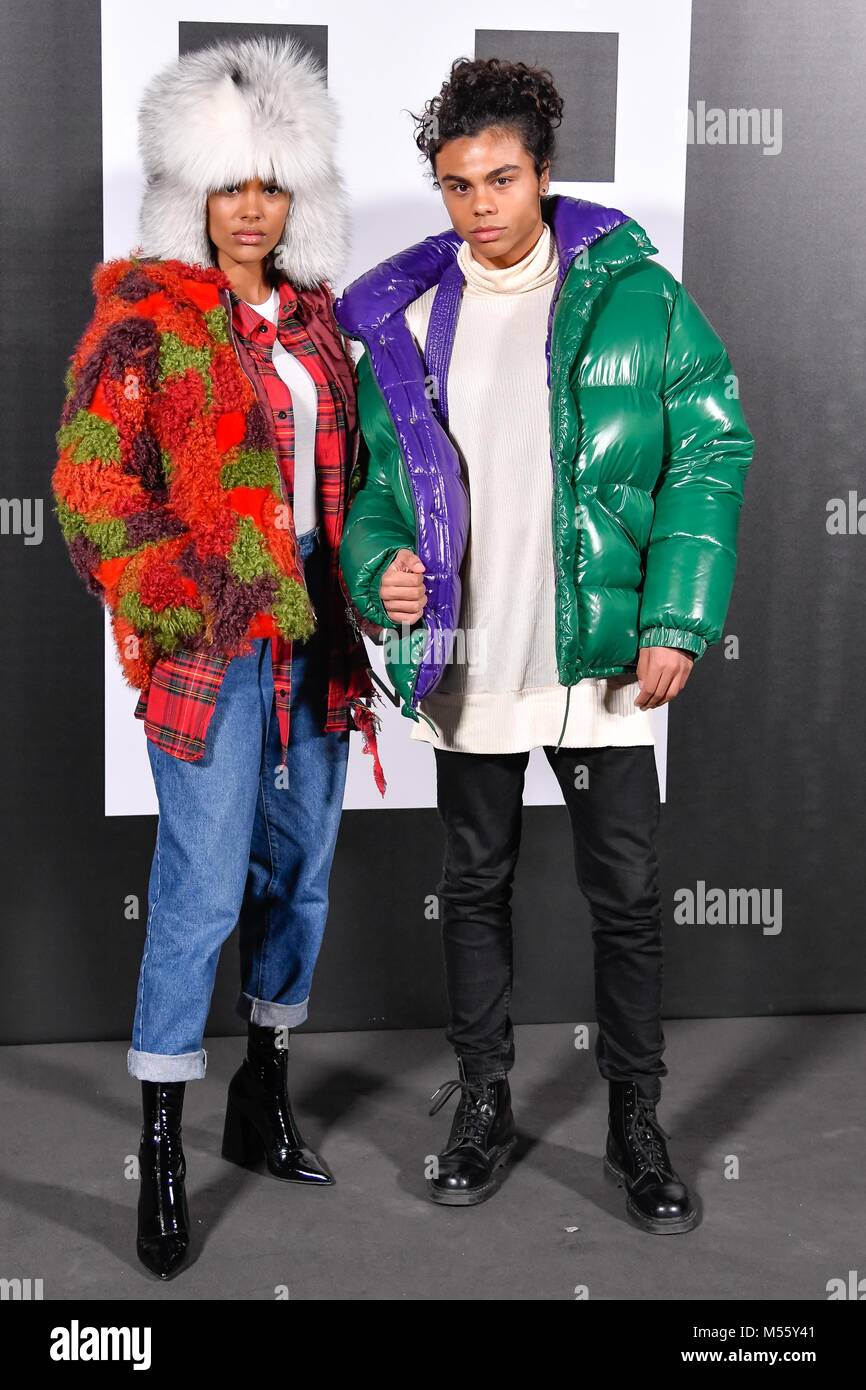 Milan, Italy. 20th Feb, 2018. Milan Woman's Fashion Week fall winter Stock  Photo - Alamy