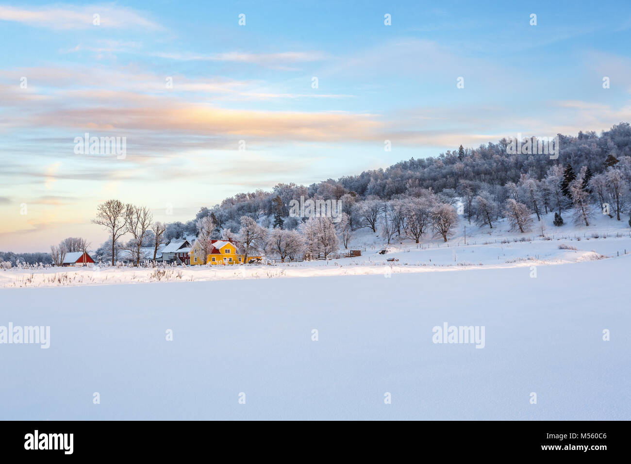 Farm at a hill in a wintry rural landscape Stock Photo - Alamy