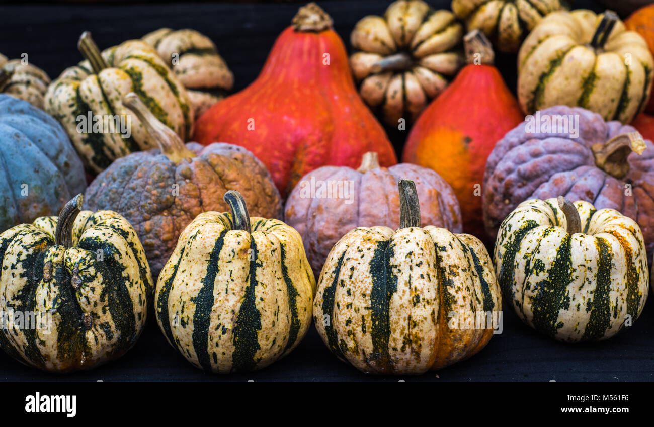 Collection of pumpkins at a farmers market Stock Photo - Alamy