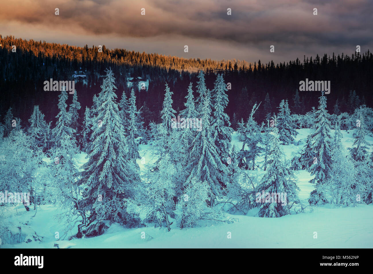 Snow scenes f hi-res stock photography and images - Alamy