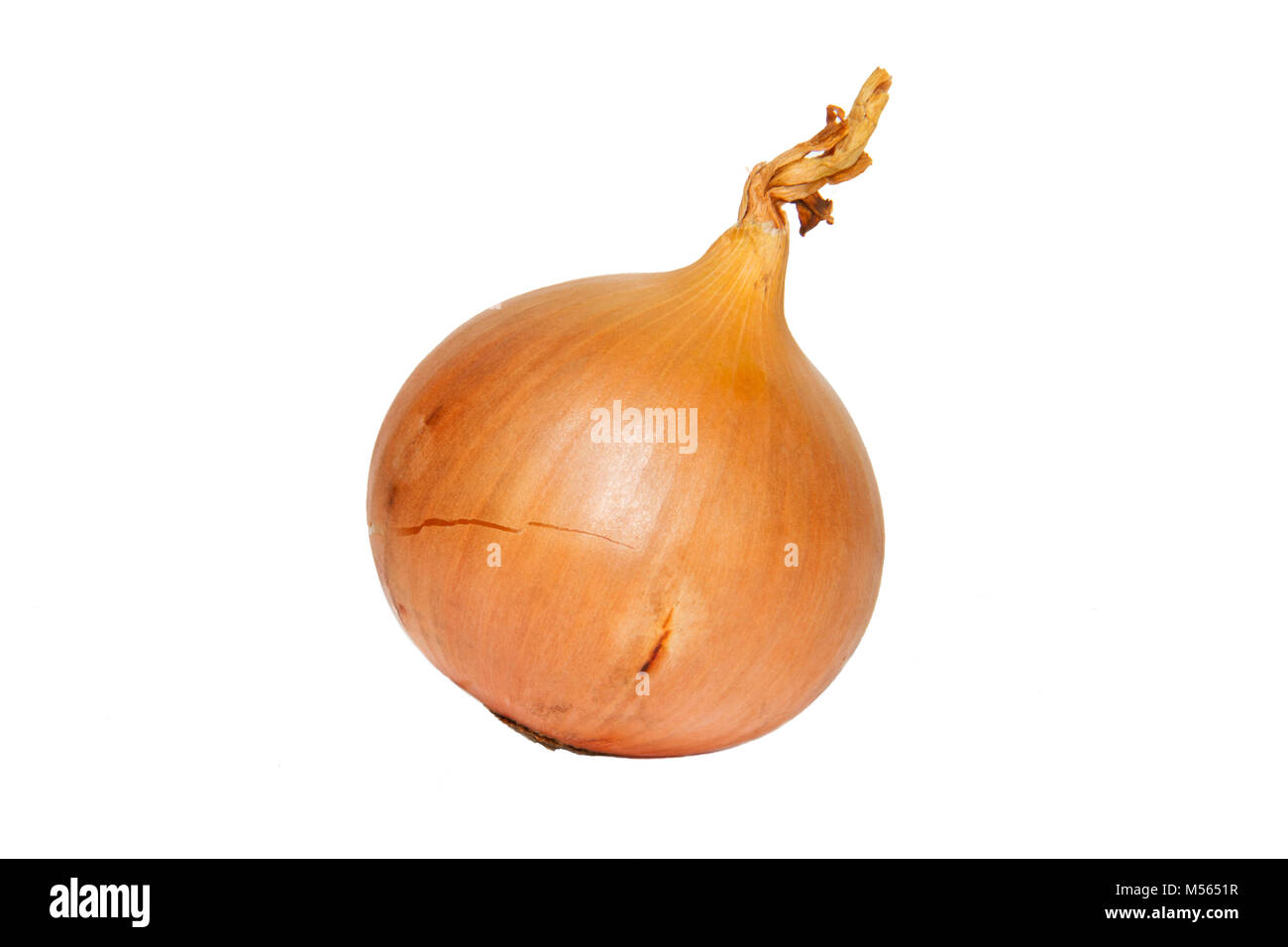 Onion, isolated on a white background Stock Photo