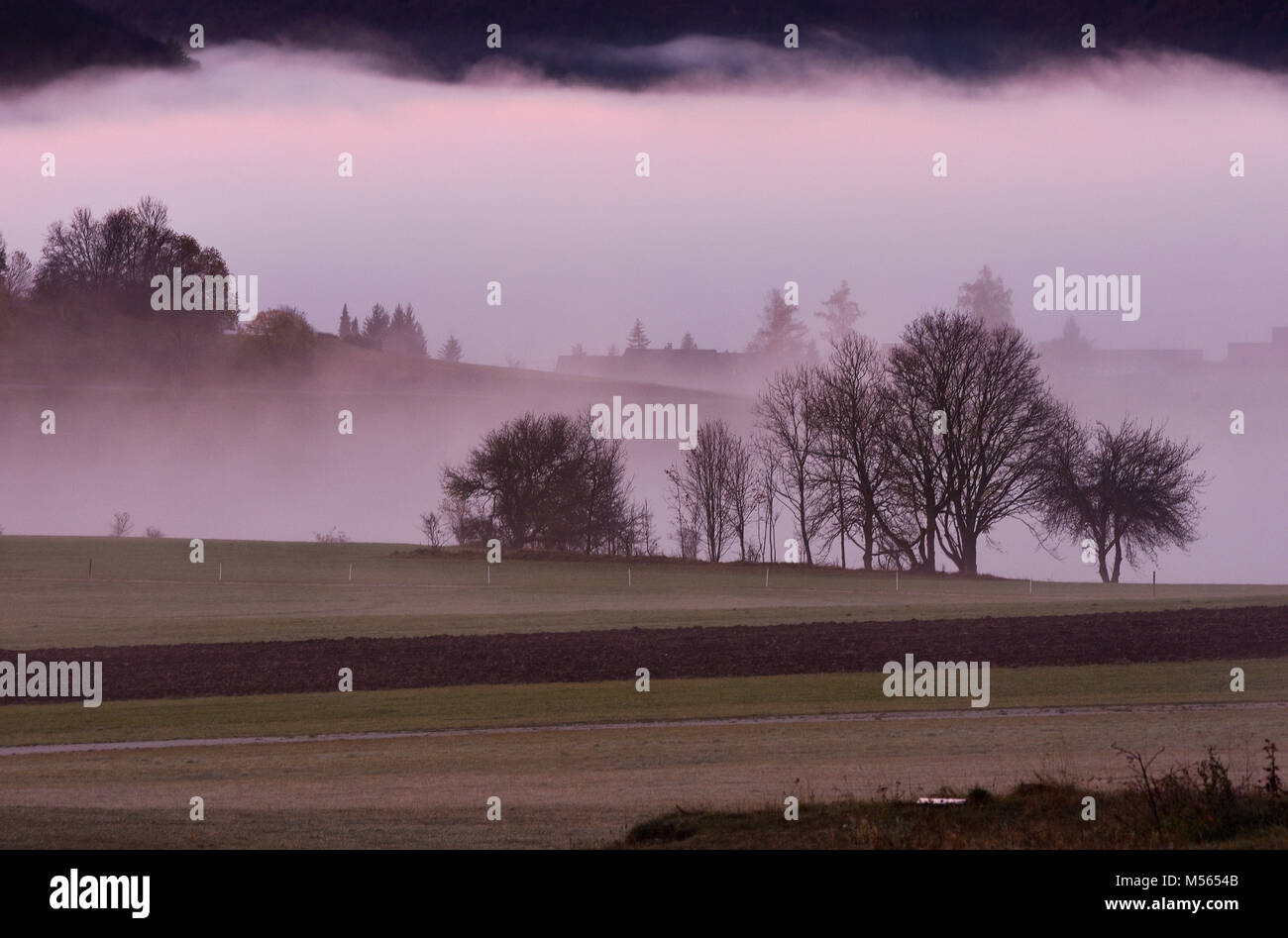 Fog in germany hires stock photography and images Alamy