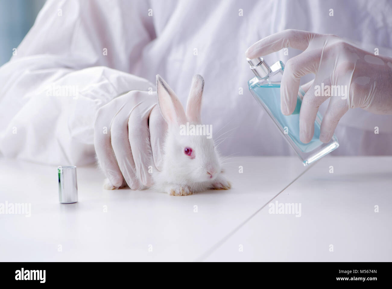White rabbit in scientific lab experiment Stock Photo Alamy