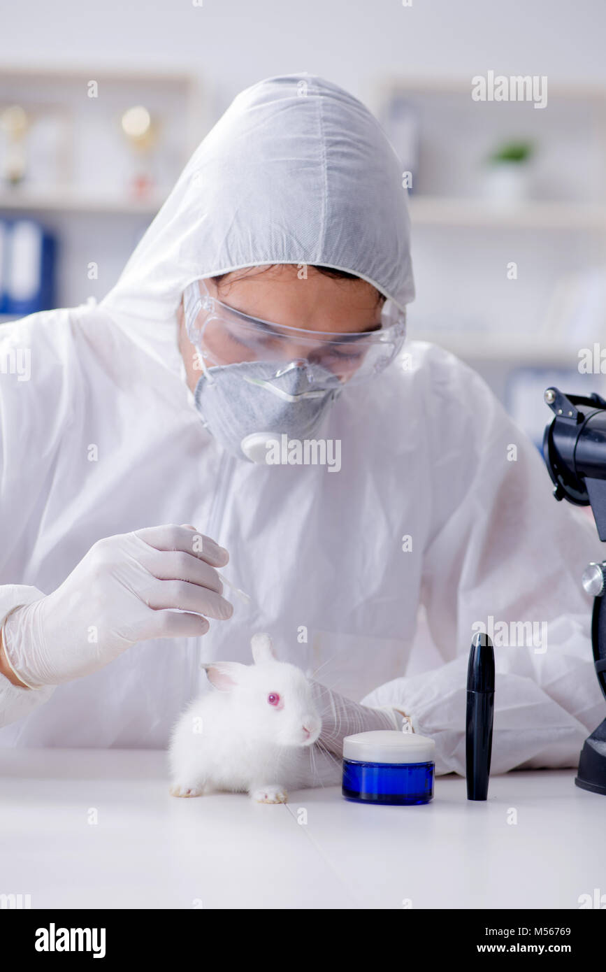 Scientist doing animal experiment in lab with rabbit Stock Photo Alamy