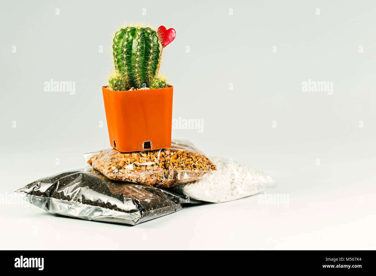 Soil And Stone In Plastic Pack For Beginer Cactus For Decoration