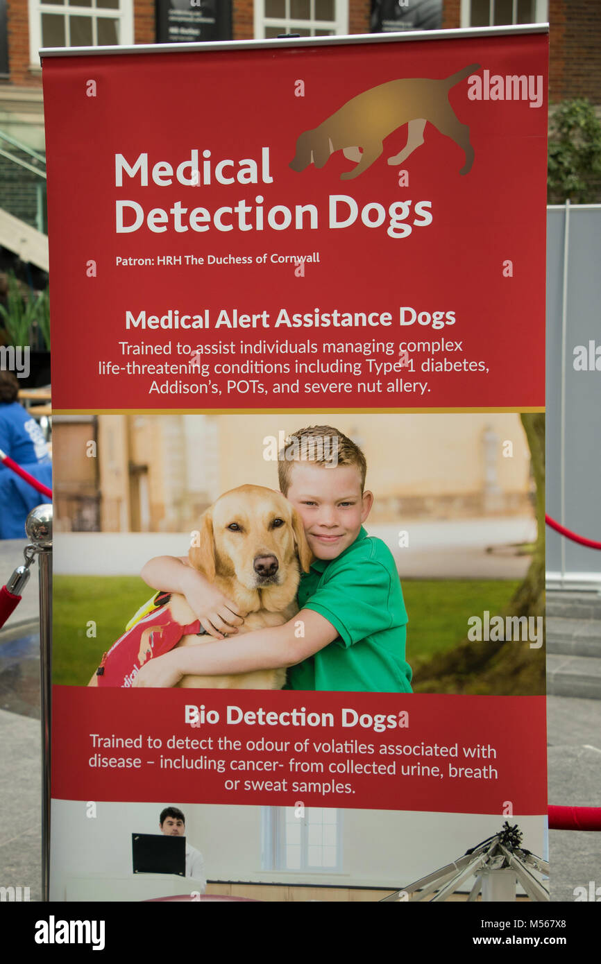 Banner for charity Medical Detection Dogs at therapeutic animals event