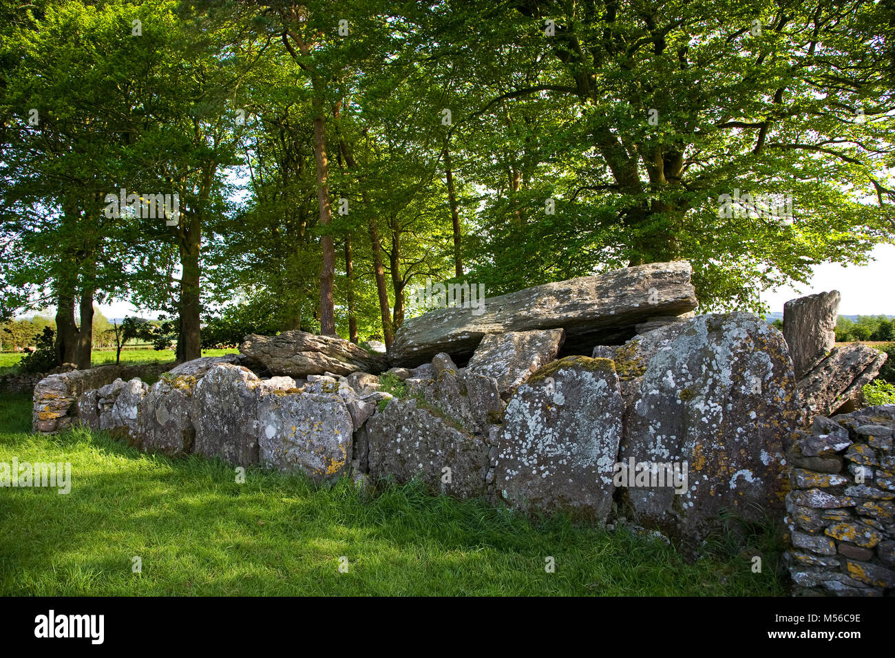Labbacallee wedge tomb pre-historic burial monument, near Glanworth, County Cork, Ireland is the largest in Ireland and dates from roughly 2300 BC. Stock Photo
