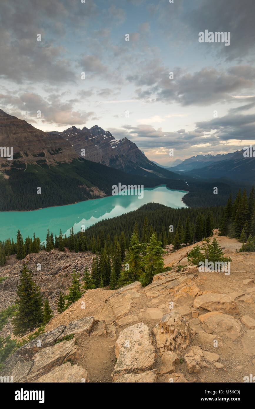 Peyto lake at sunrise banff national park hi-res stock photography and ...