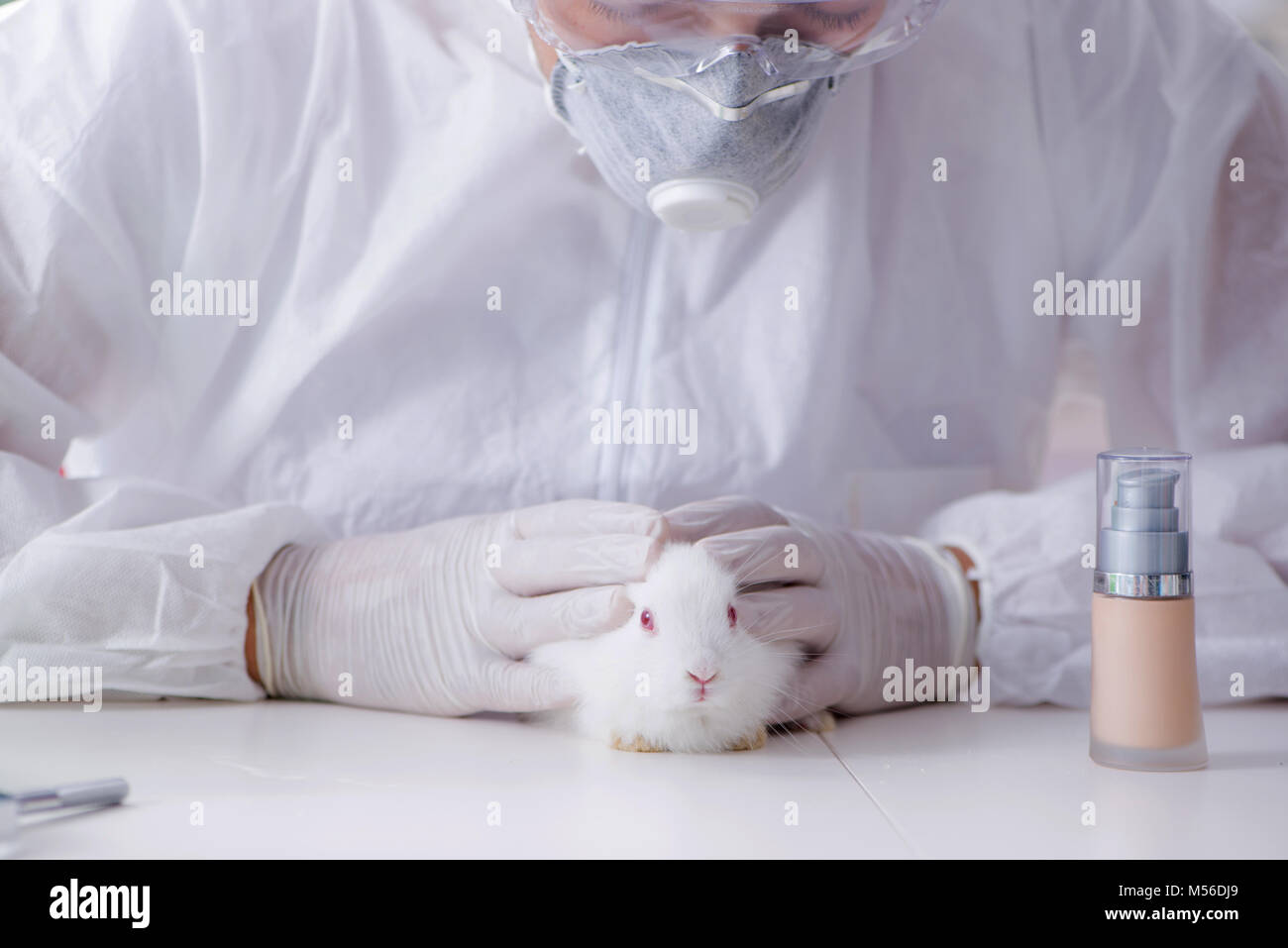 Scientist doing animal experiment in lab with rabbit Stock Photo Alamy