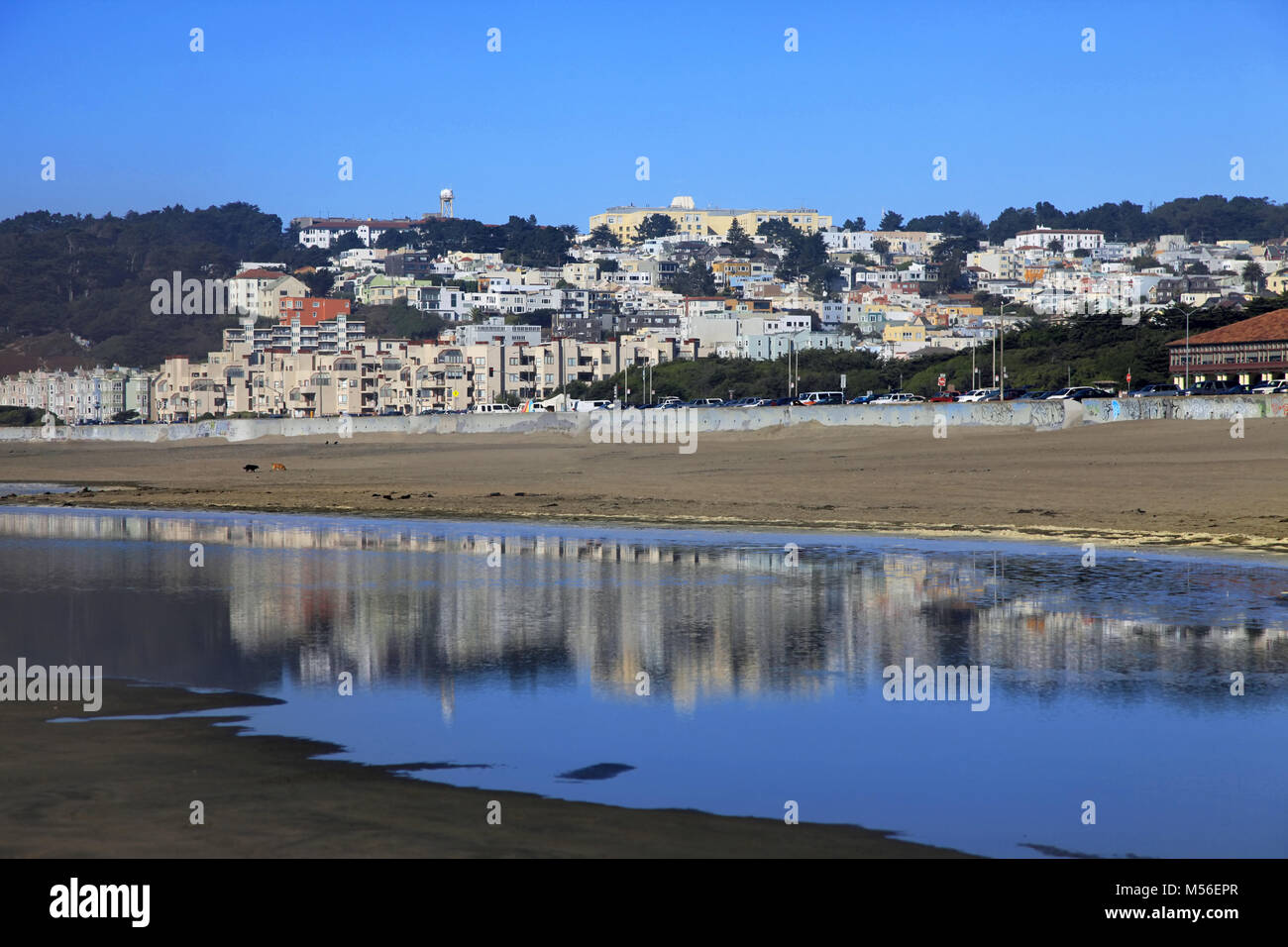 Ocean Beach in San Francisco Stock Photo Alamy