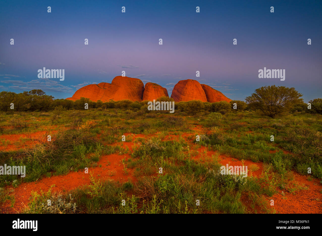 Red soil and red domes of Kata Tjuta. Stock Photo