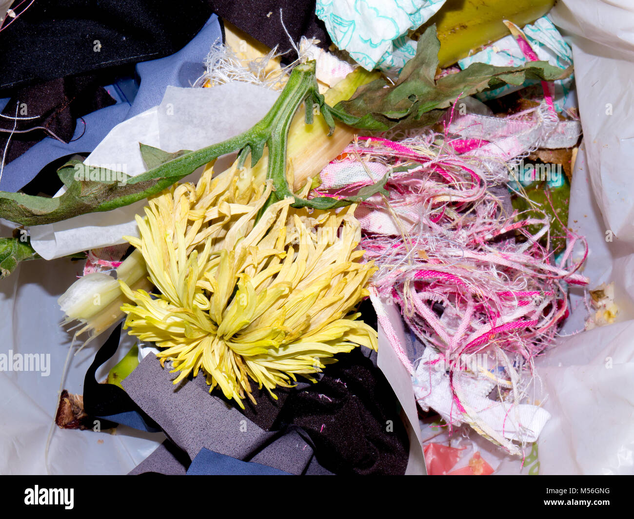 The food garbage texture and objects Stock Photo - Alamy