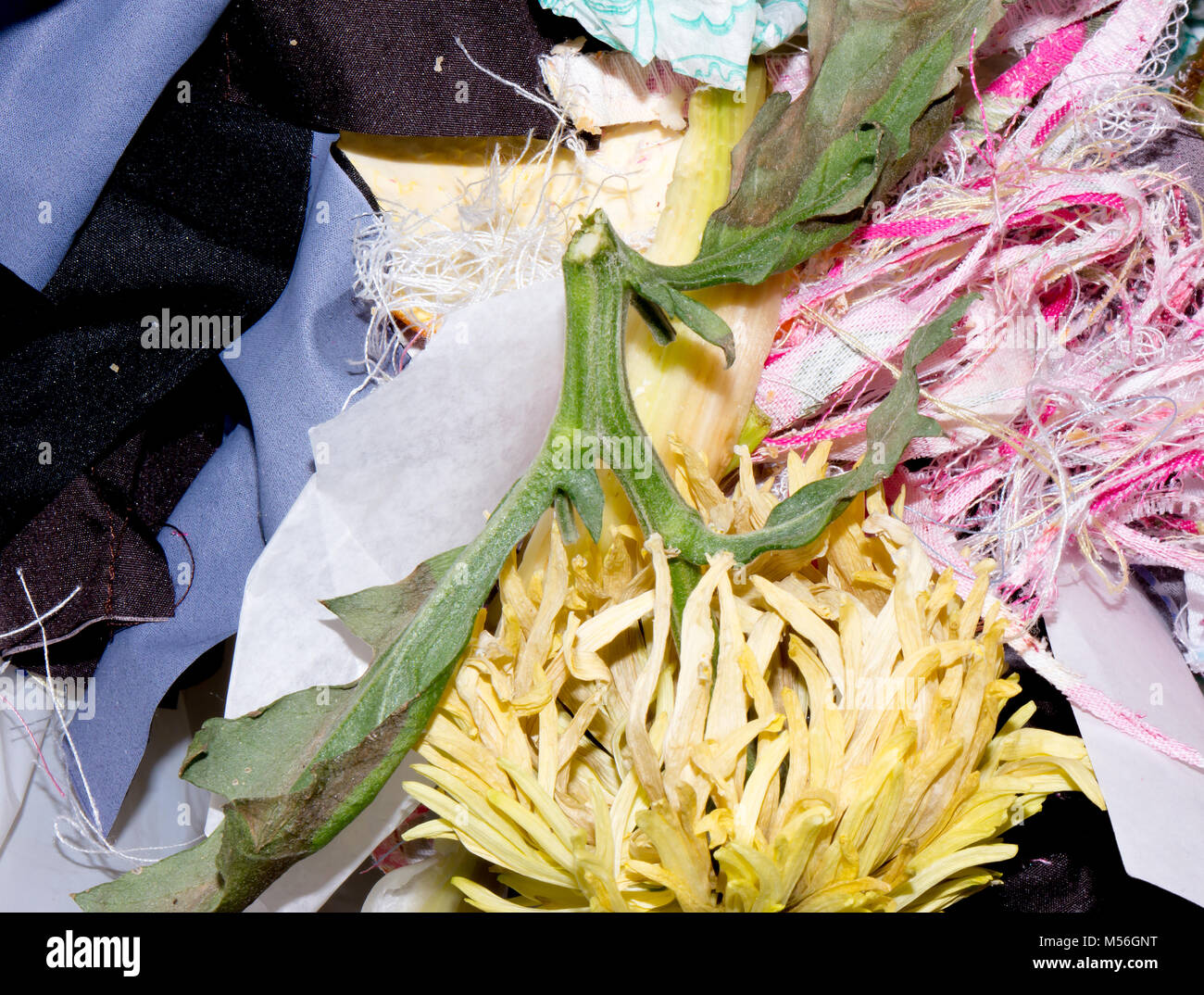 The food garbage texture and objects Stock Photo - Alamy