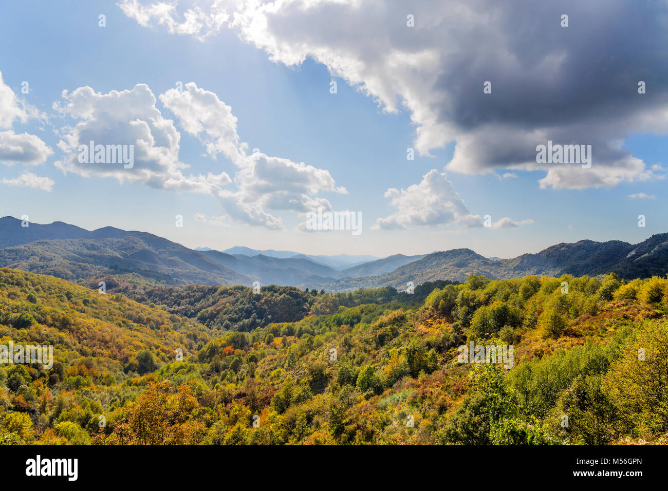 The mountain autumn landscape with colorful forest Stock Photo - Alamy