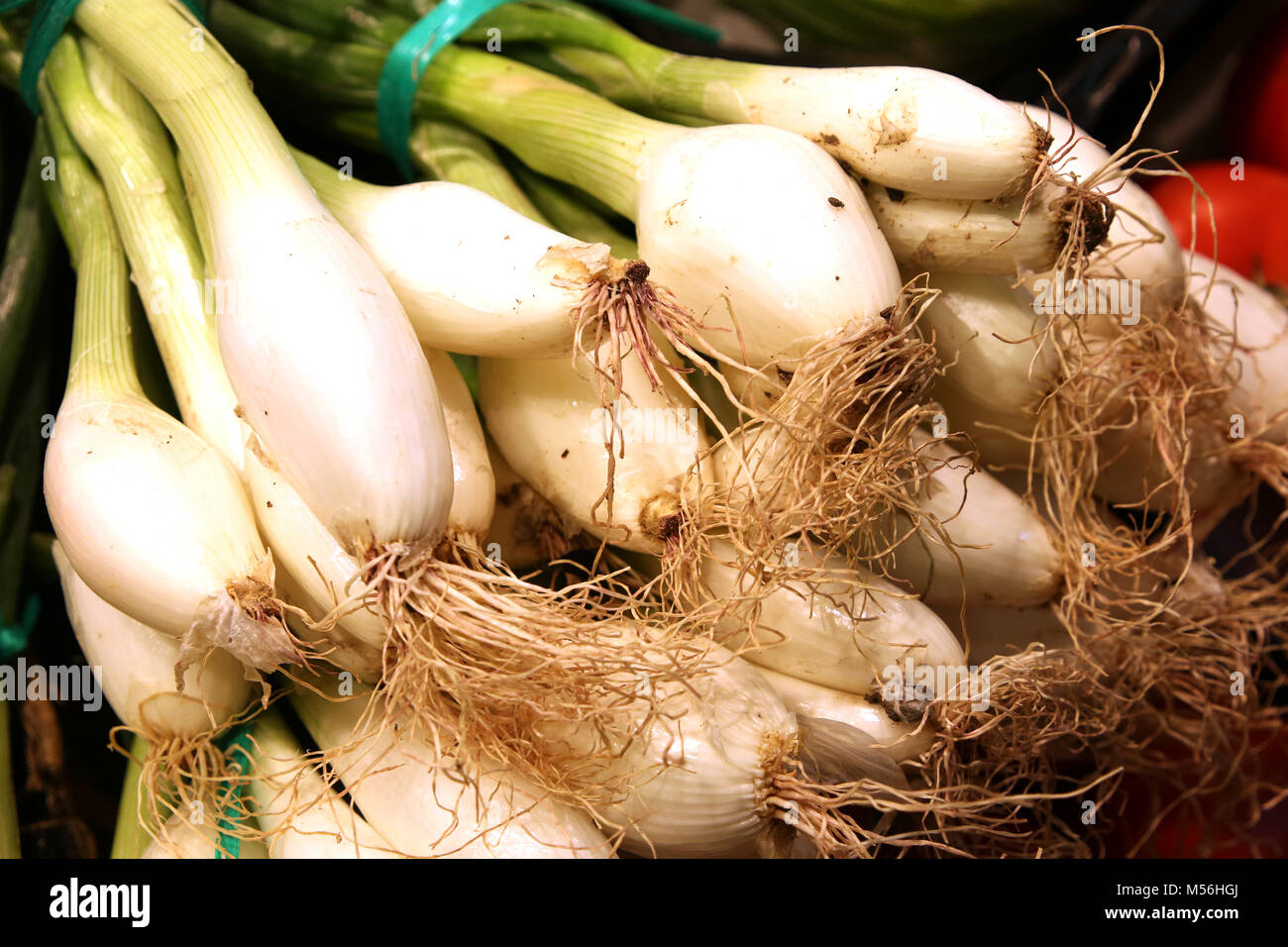 spring onions - Mercado de Tirana Market Hall Stock Photo