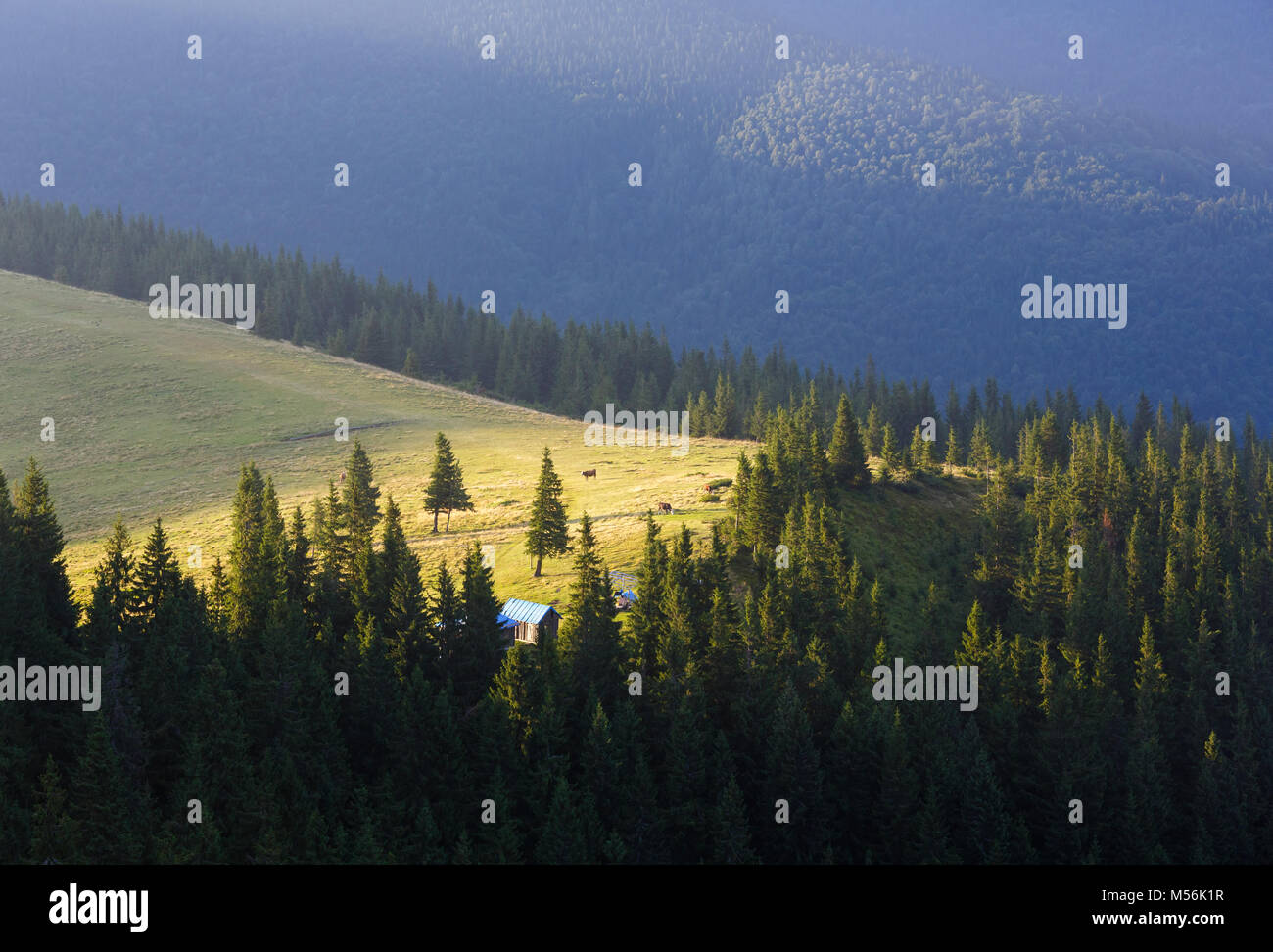 Summer Carpathian mountain view Stock Photo