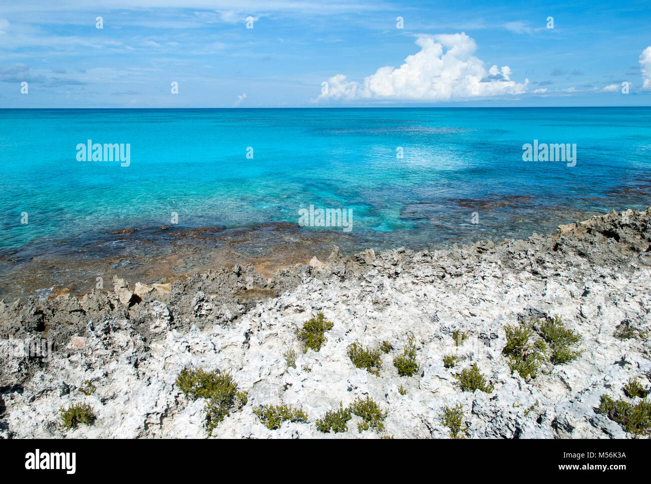 Sharp rocks along the coastline of uninhabited Half Moon Cay island ...