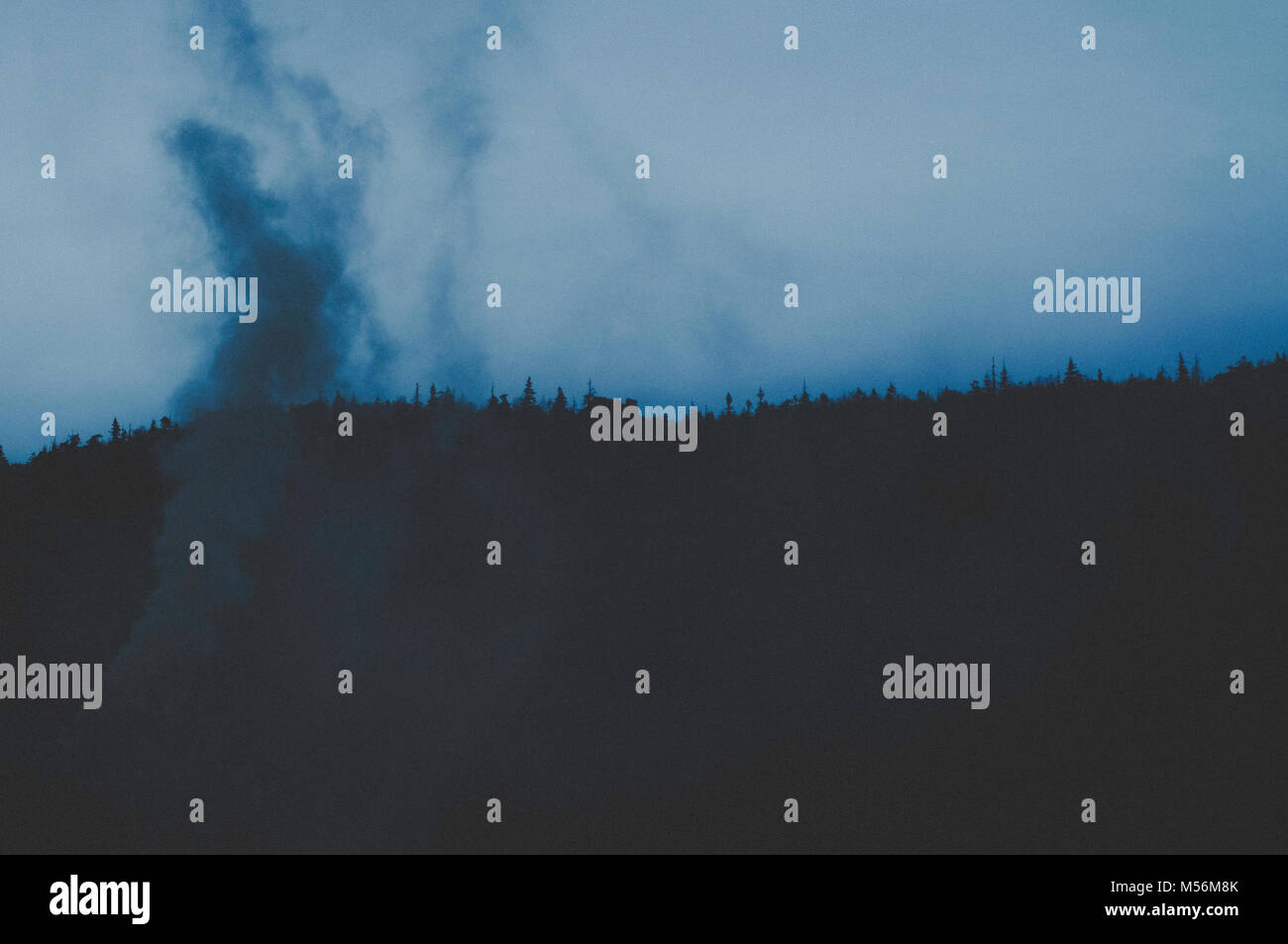 Mystical night scene with smoke and forest line. Stock Photo