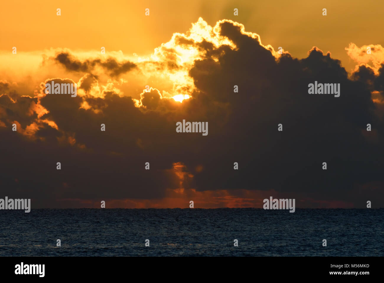 Golden sunset rays shining through hi-res stock photography and images ...